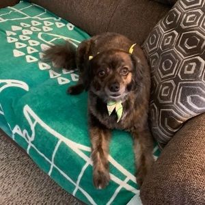 Meet your Posher, Norma